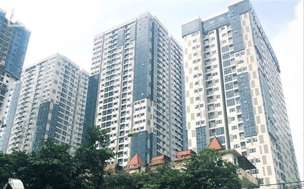 'RỪNG CHUNG CƯ' Ở VIỆT NAM VÀ VẾT XE ĐỔ CỦA CÁC NƯỚC LÁNG GIỀNG