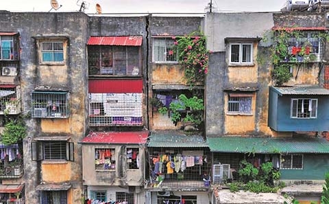 Tiếp tục hoàn thiện Nghị định mới về cải tạo, xây dựng lại nhà chung cư